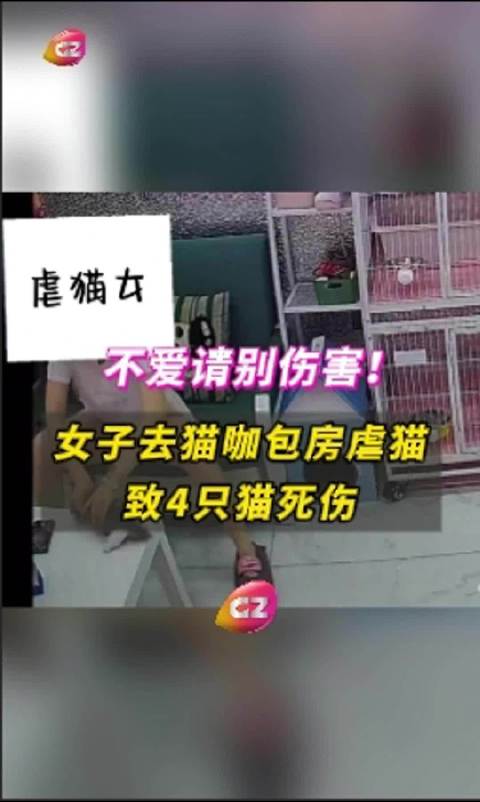 第206页