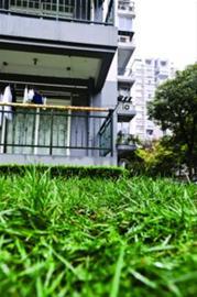 娱乐生活 第29页