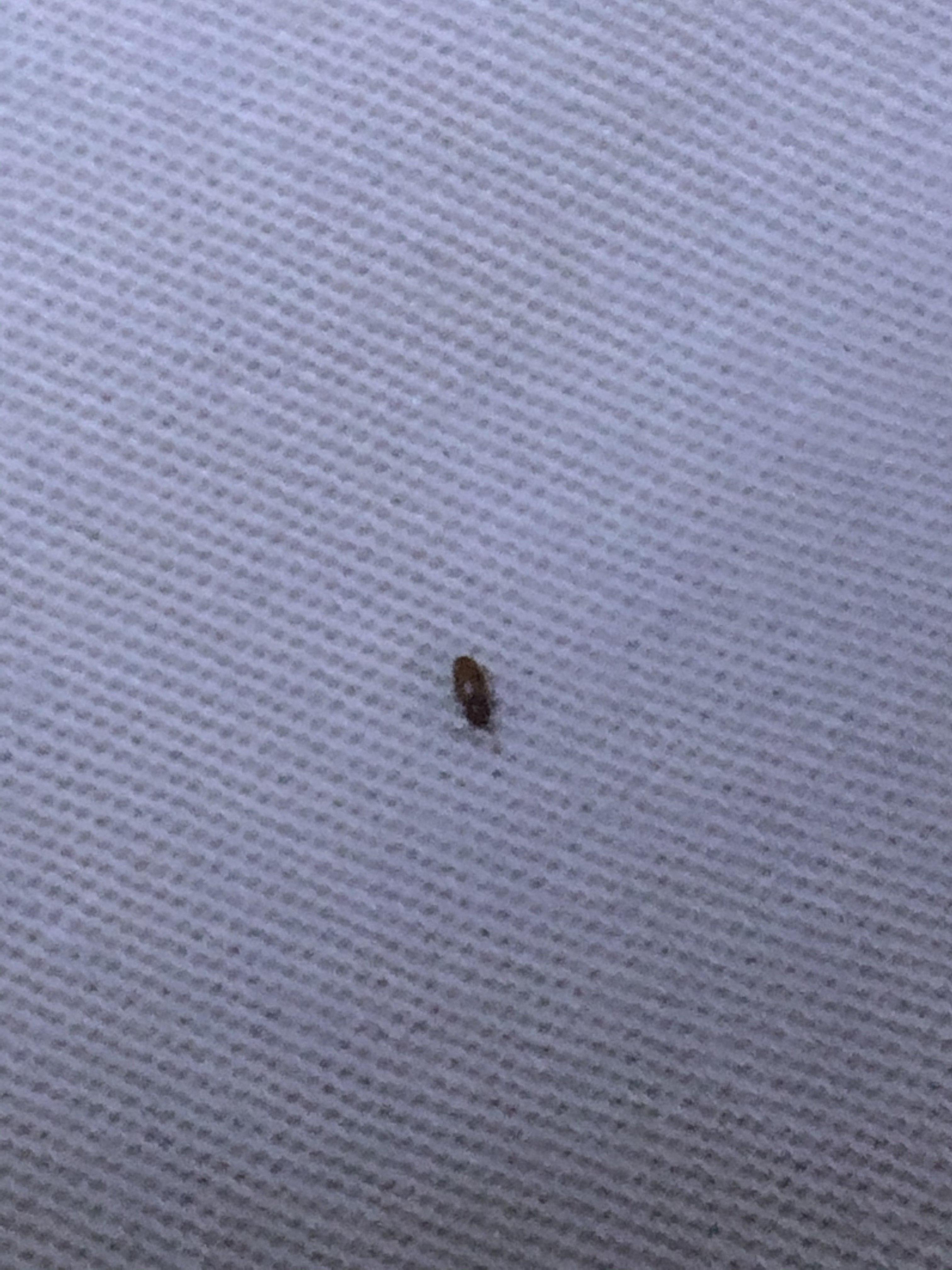 娱乐生活 第28页