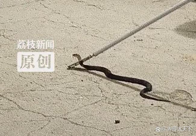 热点生活 第22页